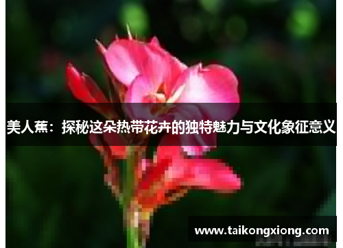 美人蕉：探秘这朵热带花卉的独特魅力与文化象征意义